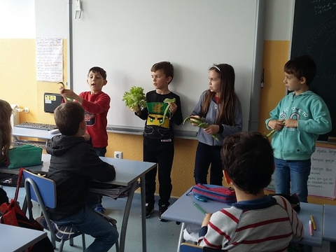 Neste dia, apanhámos as as couves, as favas e as alfaces que já estavam boas para serem consumidas. Os alunos do 2º ano e sala B levaram-nas para as salas respetivas para serem observadas.